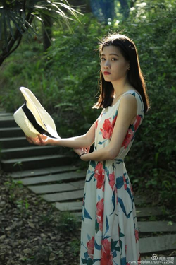 拯救精灵森林游戏主界面